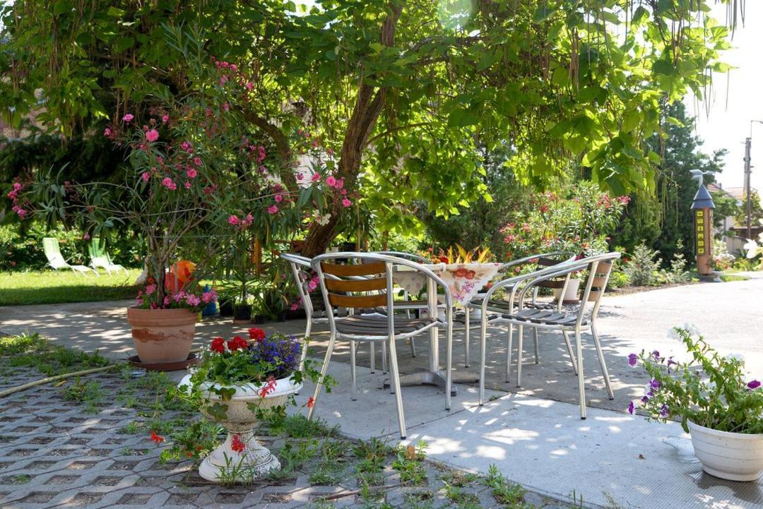 Harang Panzio Bed & Breakfast Gyomaendrőd Eksteriør bilde