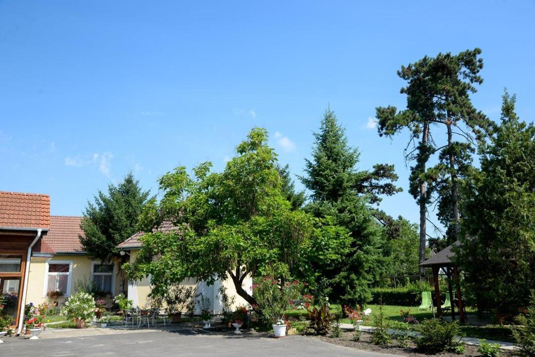 Harang Panzio Bed & Breakfast Gyomaendrőd Eksteriør bilde